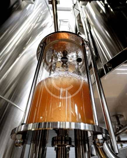 ferm-img-10-copyright ferm-img-10-copyright