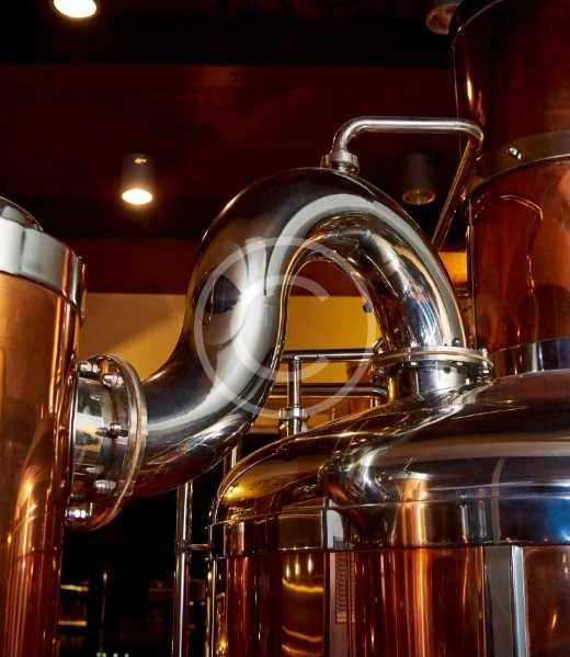 ferm-img-11-copyright ferm-img-11-copyright