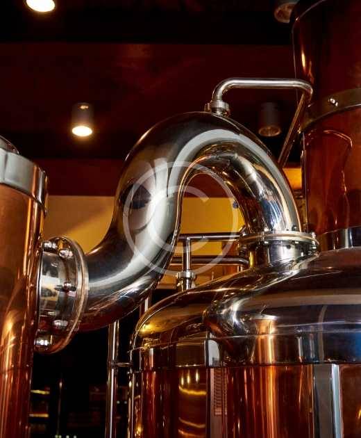 ferm-img-32-copyright ferm-img-32-copyright